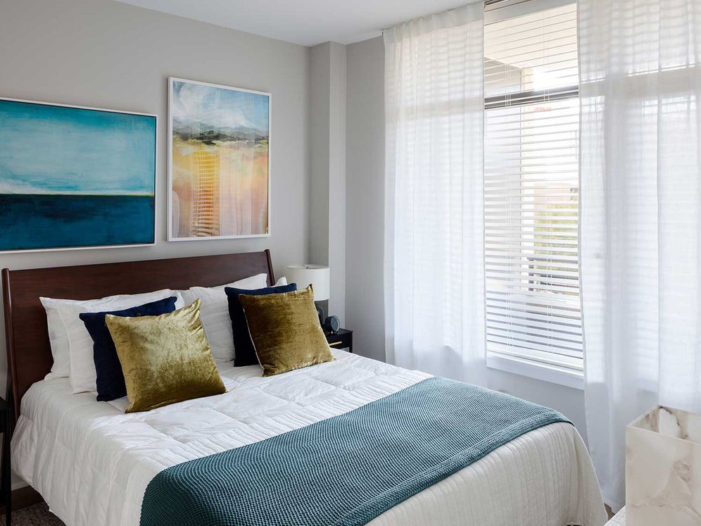 Avalon 555 President Image 19