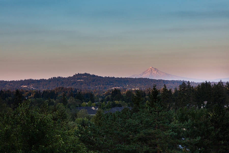 Skyline at Murrayhill Image 17
