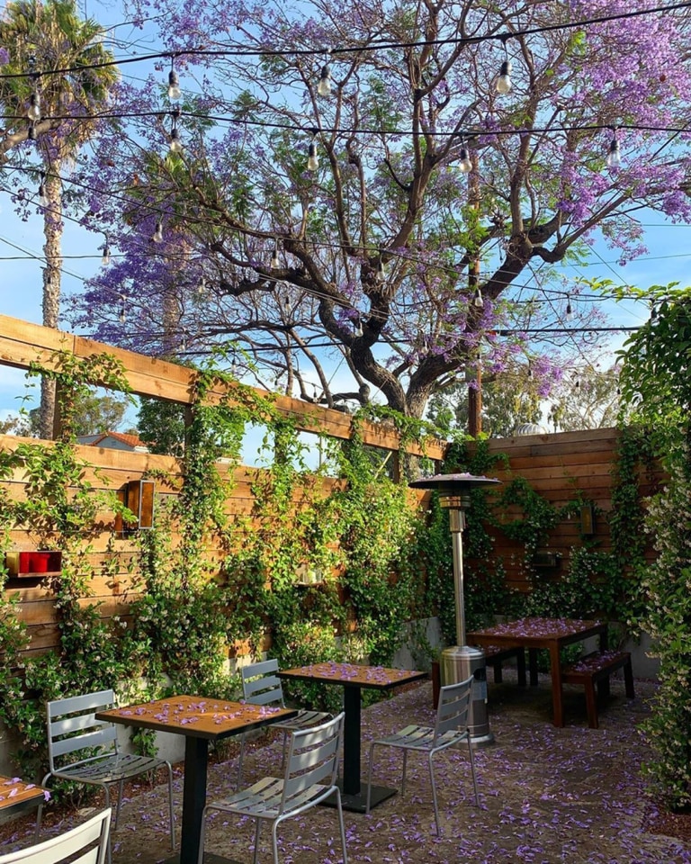5135 West Adams Image 23