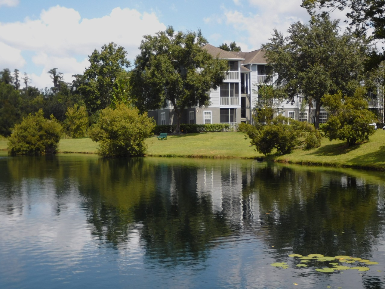 Berkshires at Citrus Park Image 46