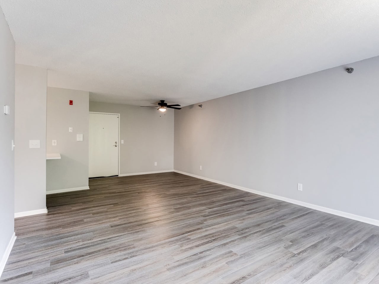 White Pines Image 42
