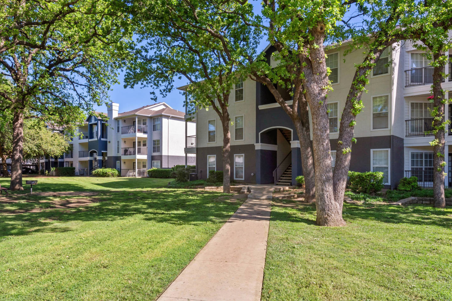 Oak Forest Image 15