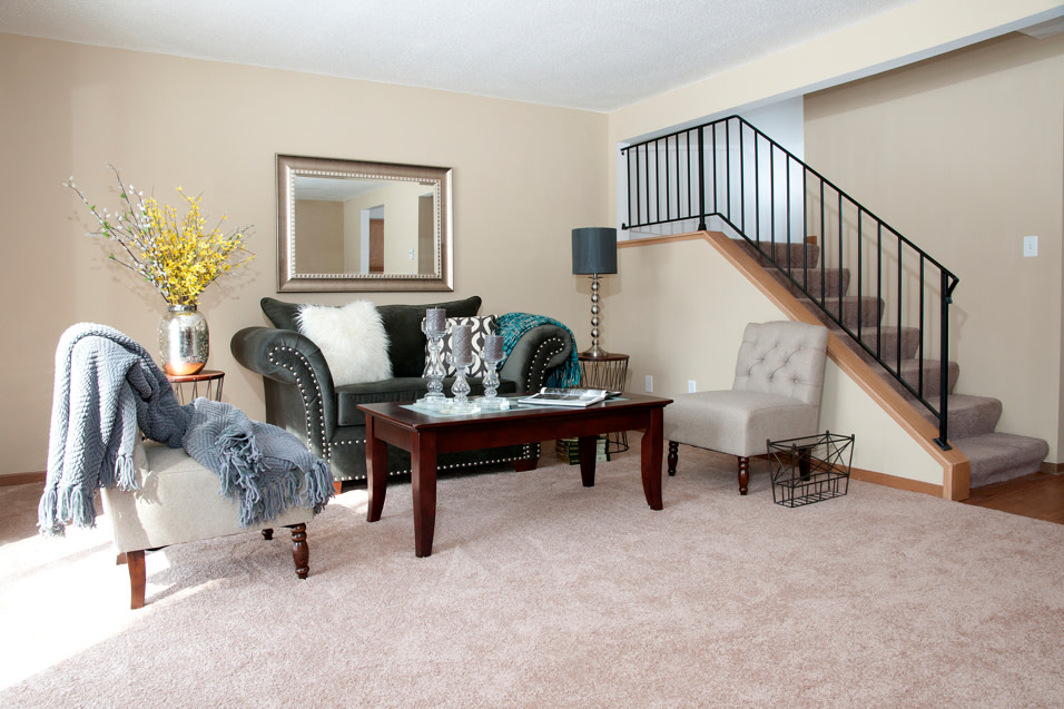 Carver Lake Townhomes Image 3