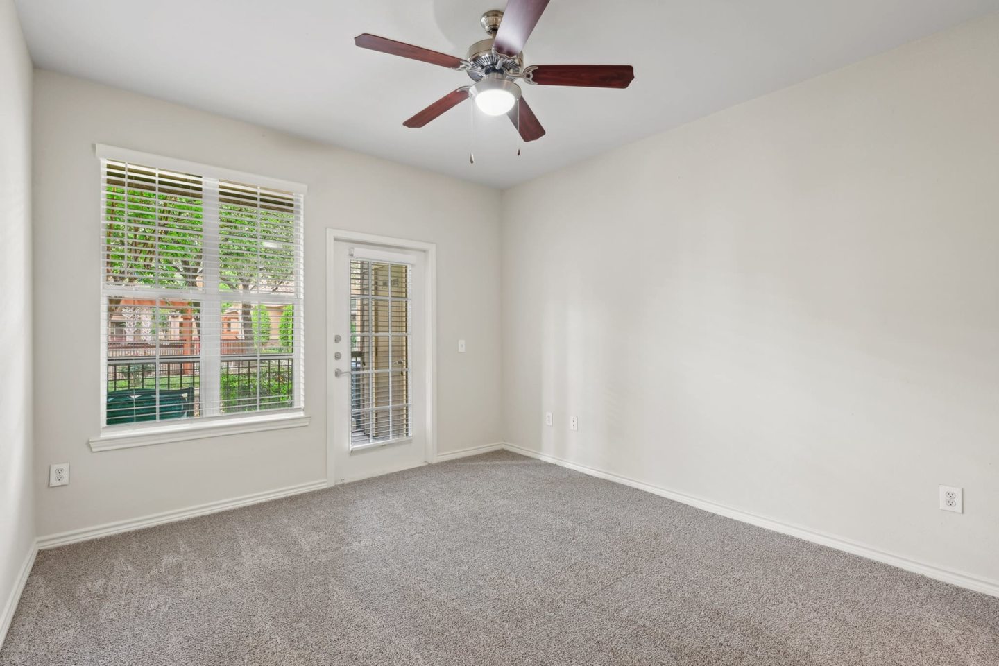Tiburon Image 7