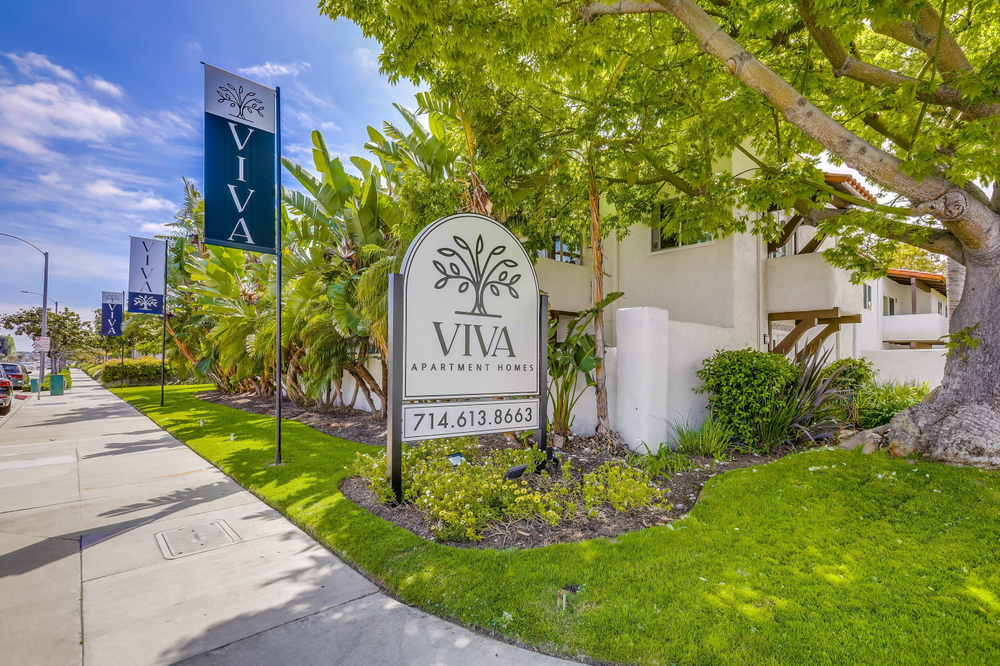 VIVA Apartment Homes Image 17