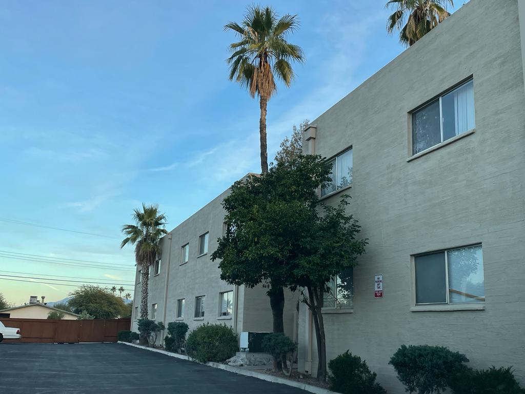 Palm Garden Image 31