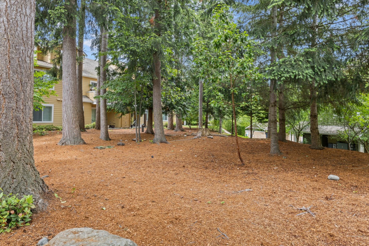 Evans Creek Image 24