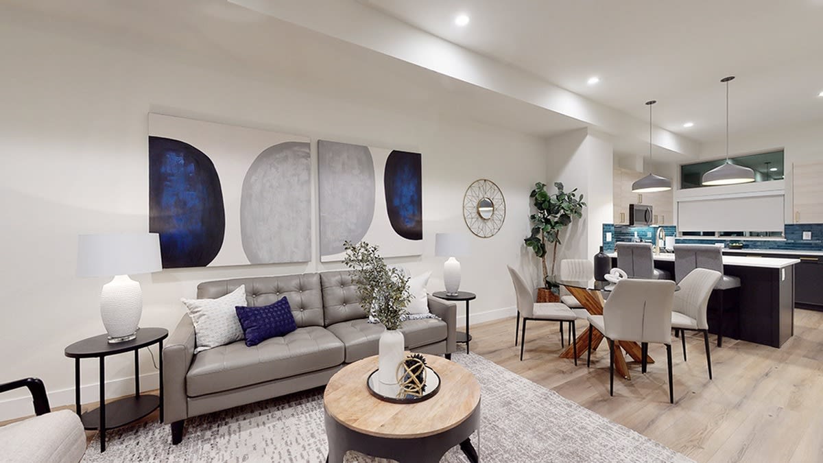 Delaware Street Townhomes Image 8