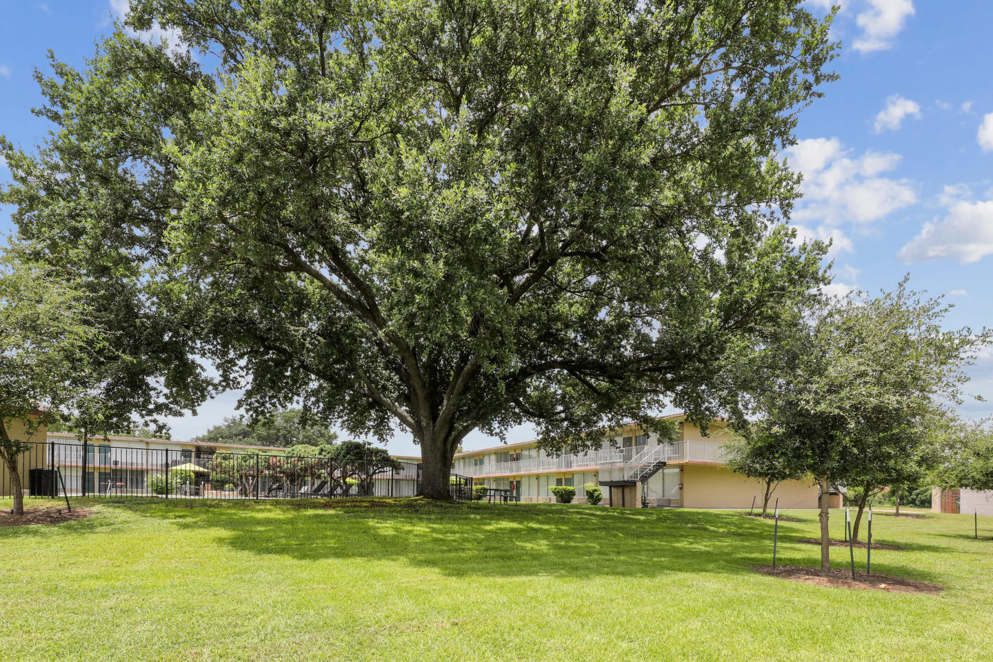 Oaks 35 Image 21