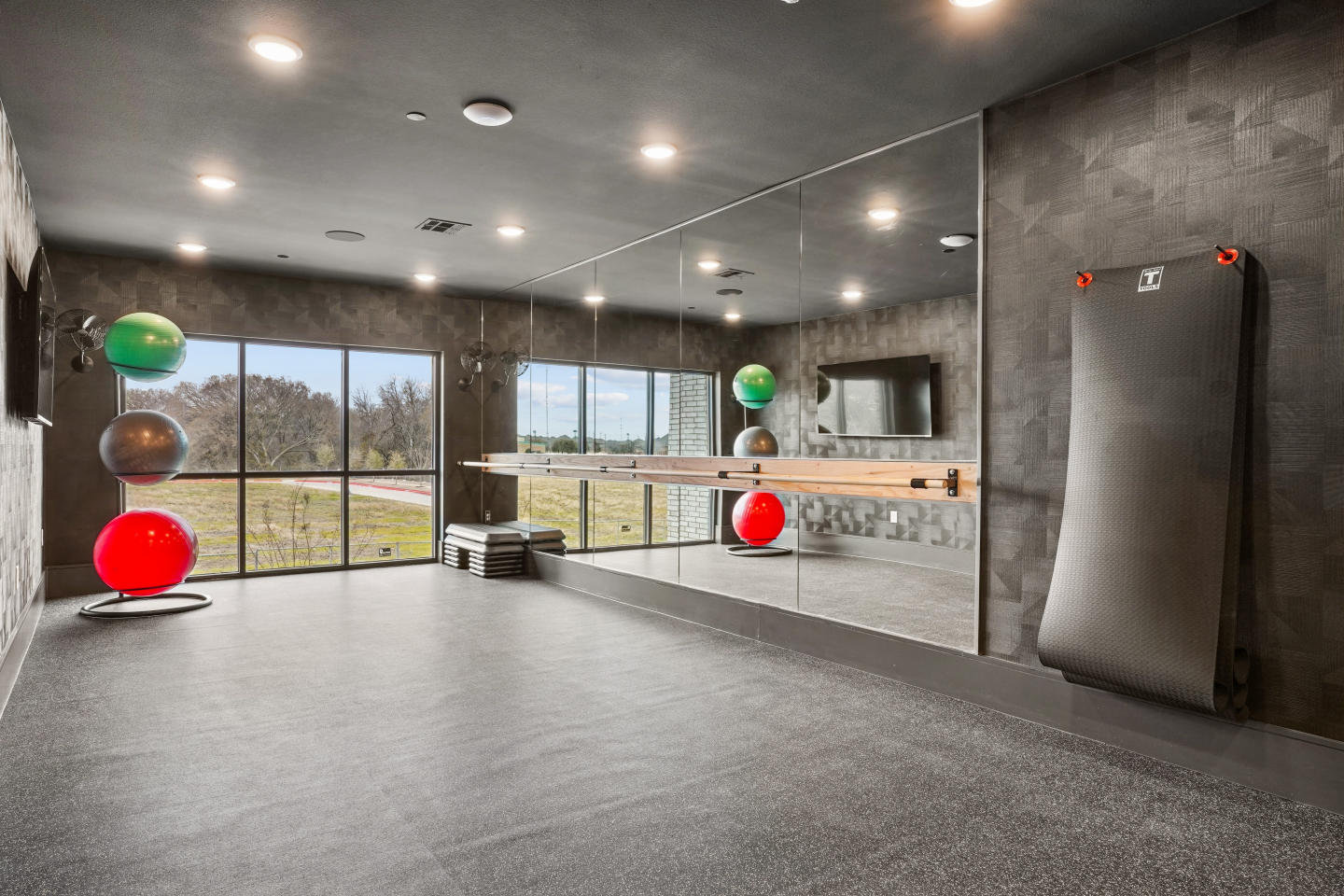 Cendana Craig Ranch Image 17