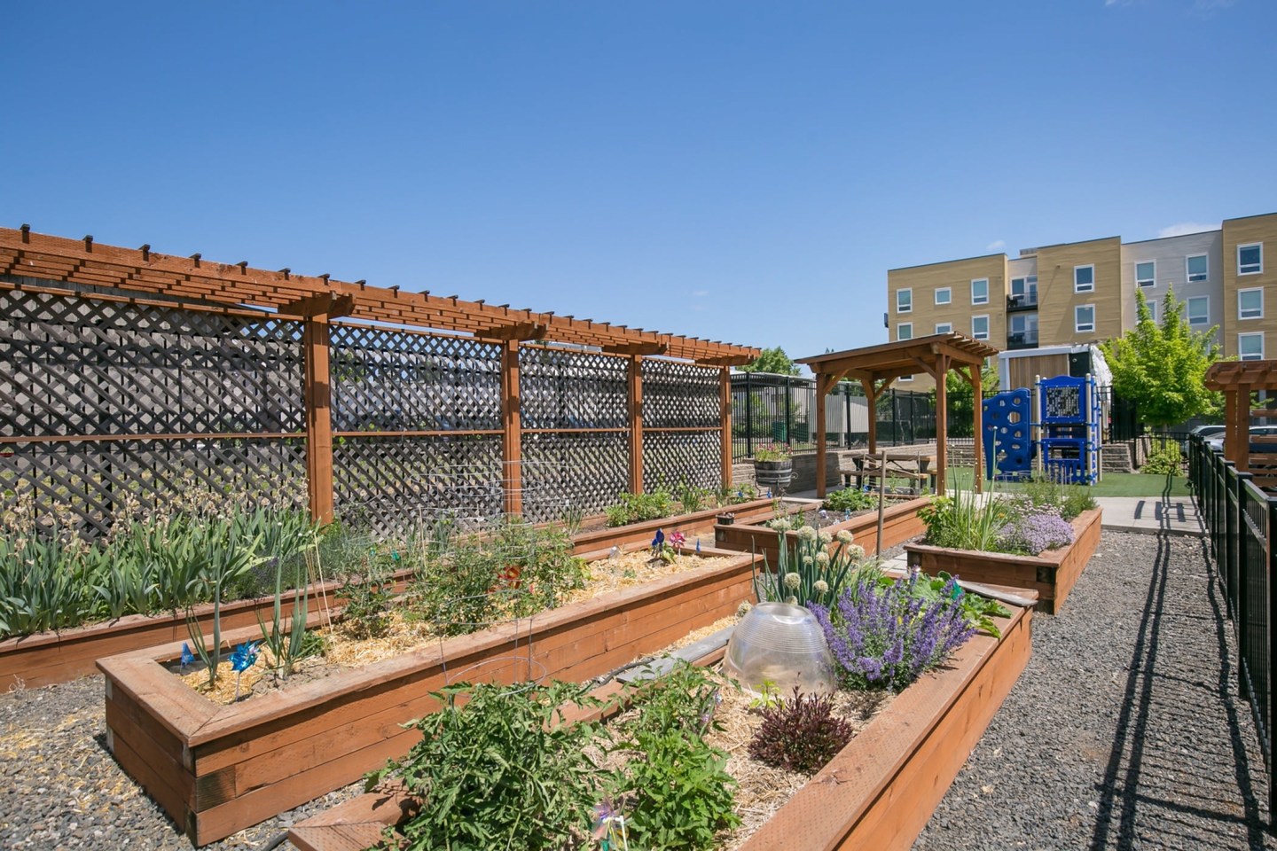 Jesse Quinn Apartments Image 3