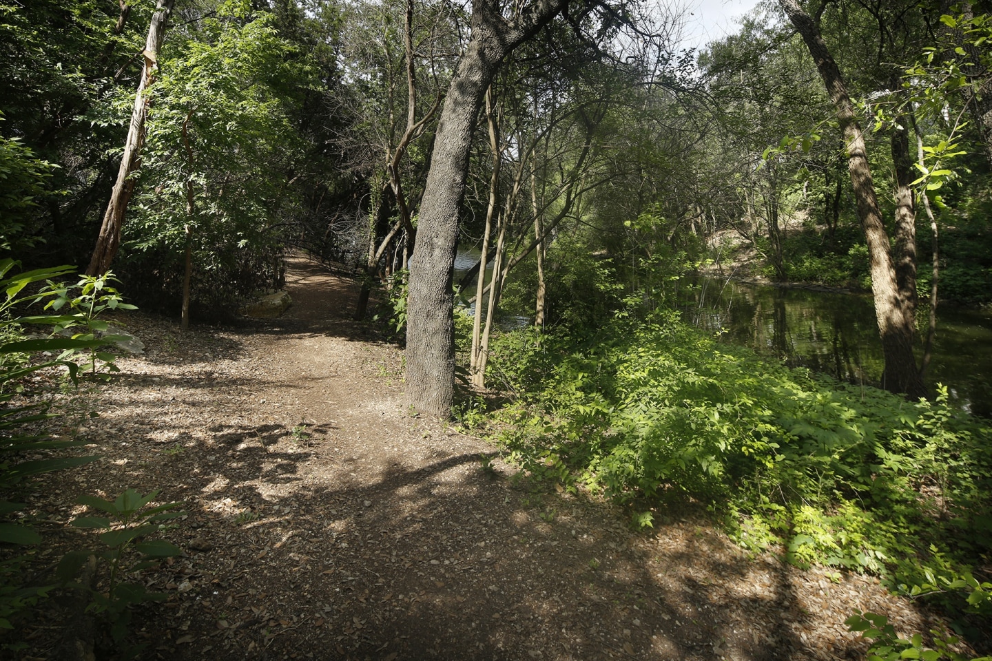 Retreat at Barton Creek Image 20