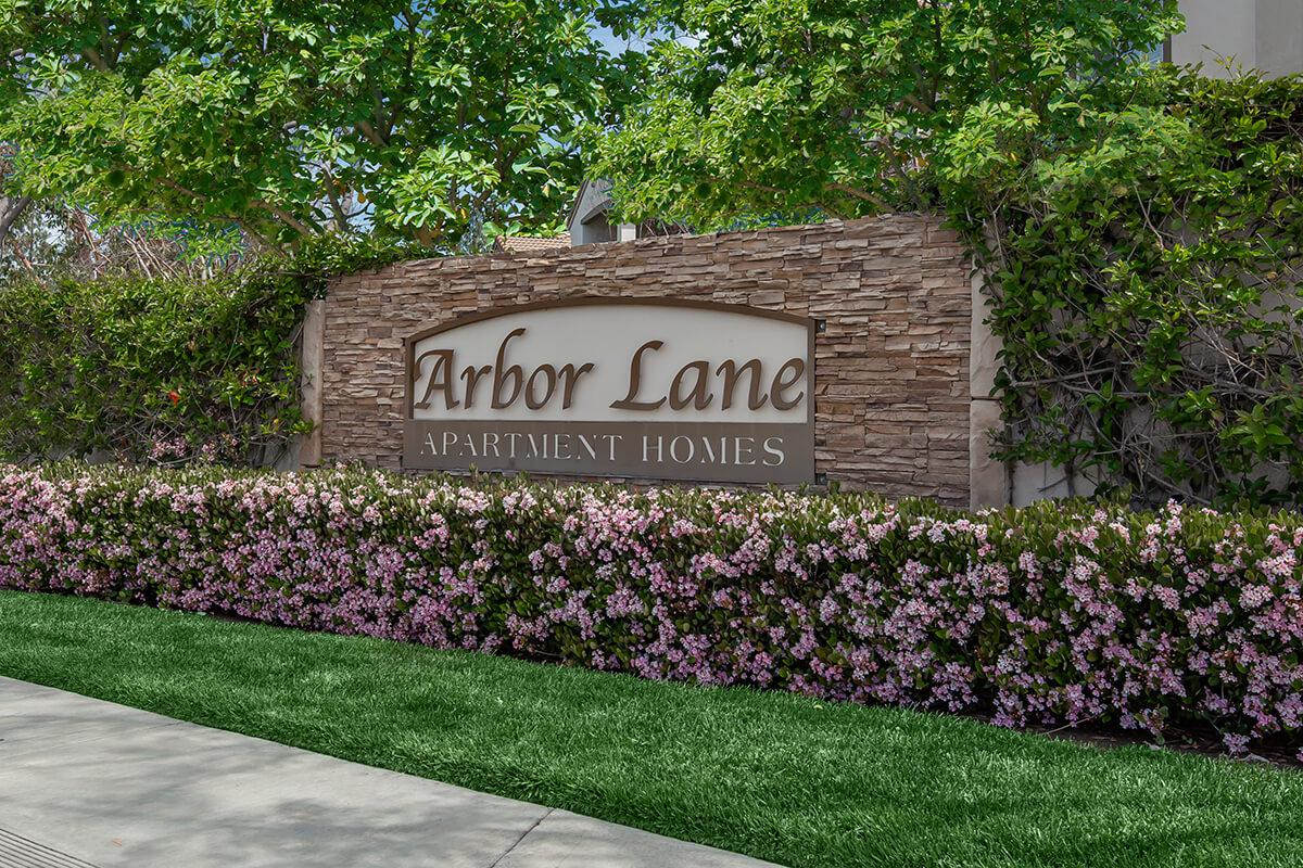 Arbor Lane Apartment Homes Image 9