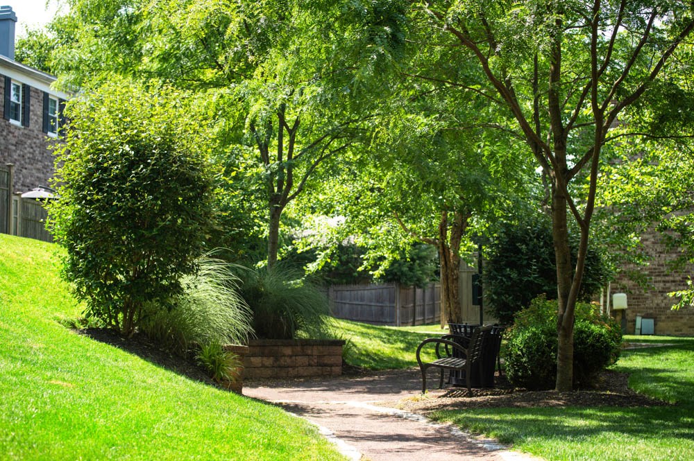 Chestnut Hill Village Image 22