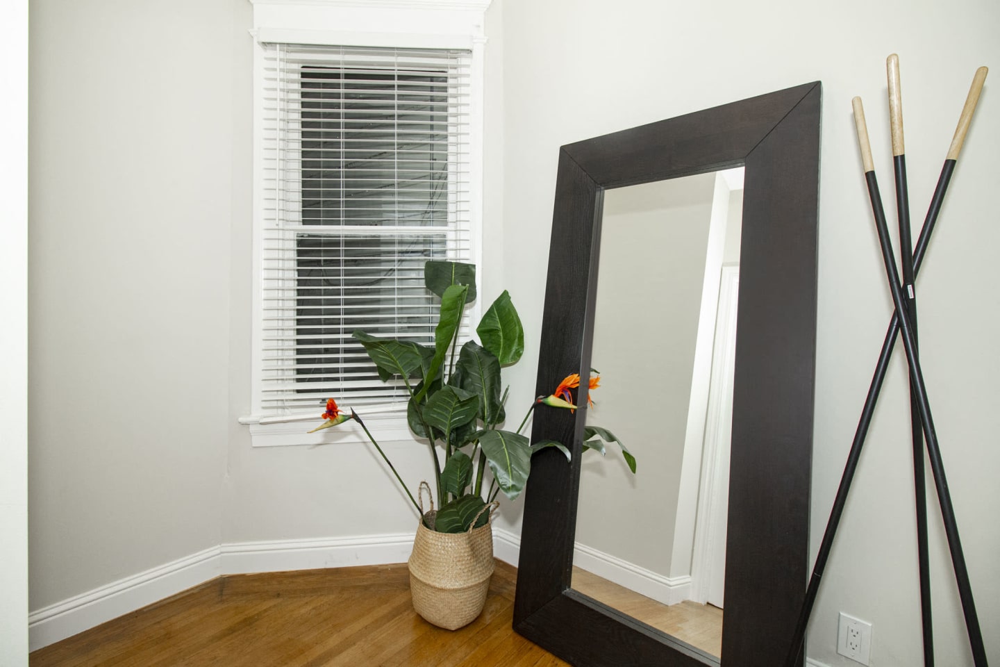 2927 Sacramento Street Image 3