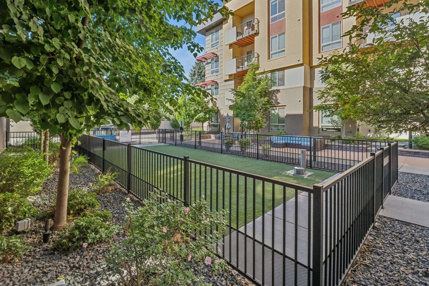 AMLI Cherry Creek Image 4