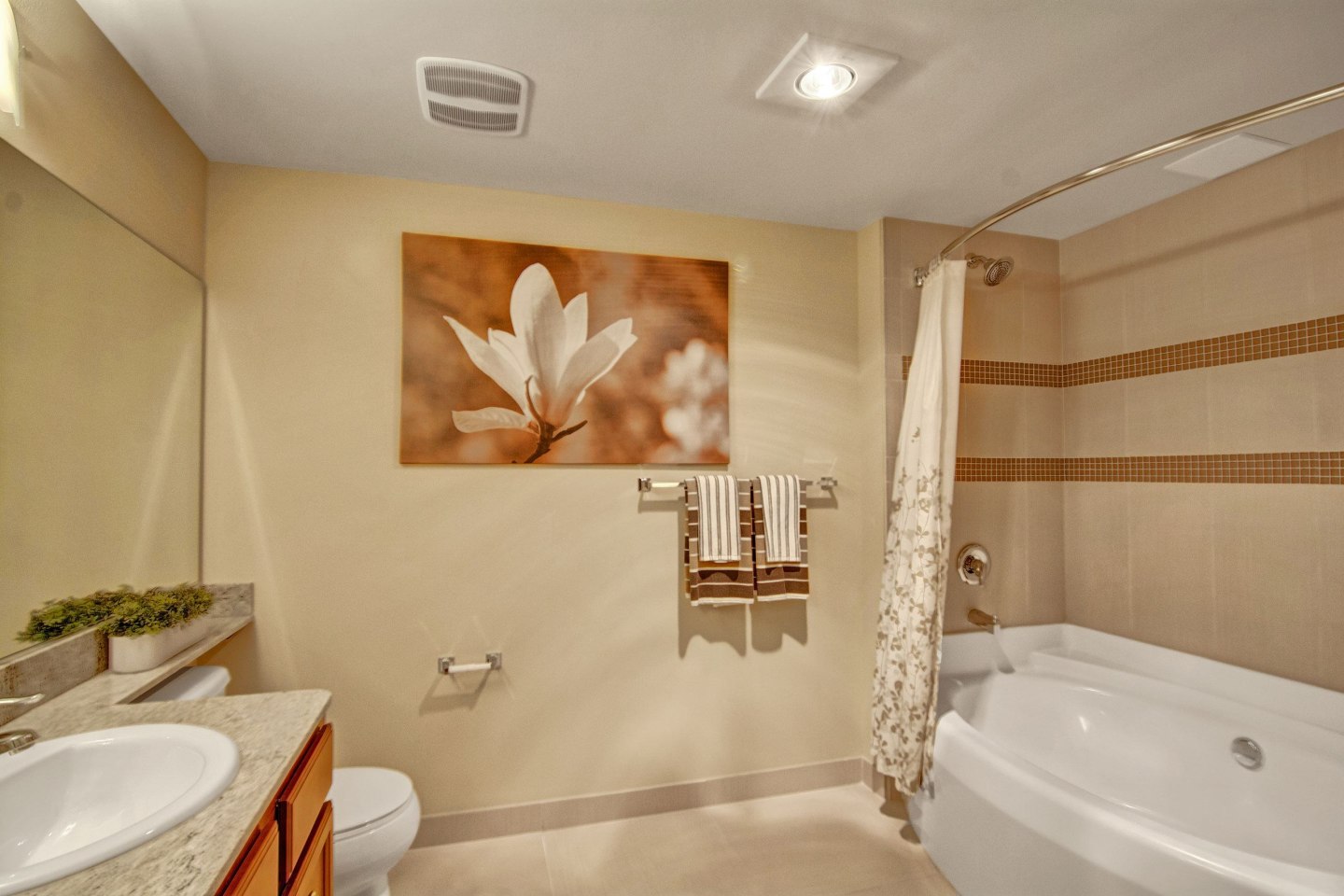 The Artiste Apartment Homes Image 8