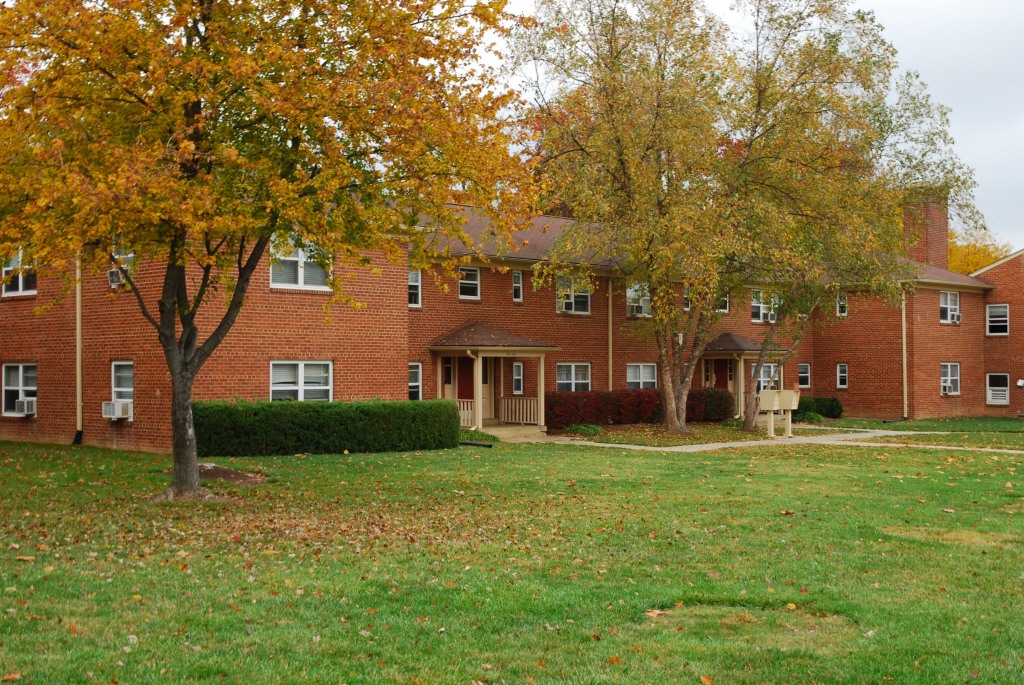 Springfield Gardens Image 4