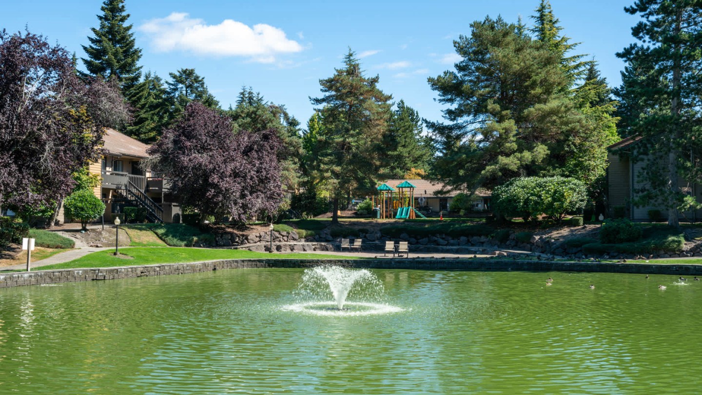 Bellevue Meadows Image 30
