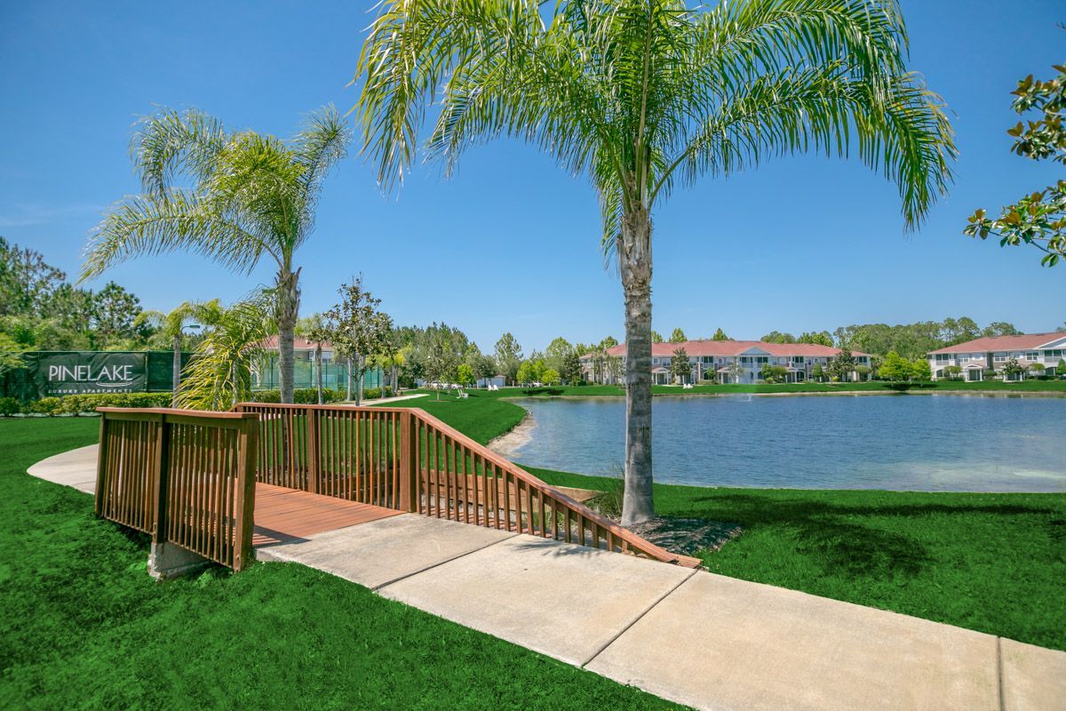 Pine Lake Image 28