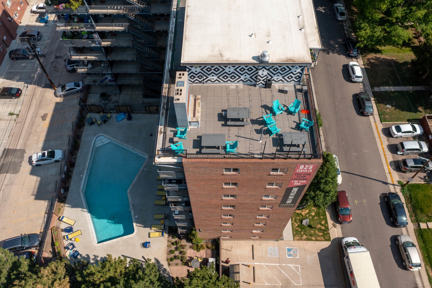 805 Dahlia Image 15