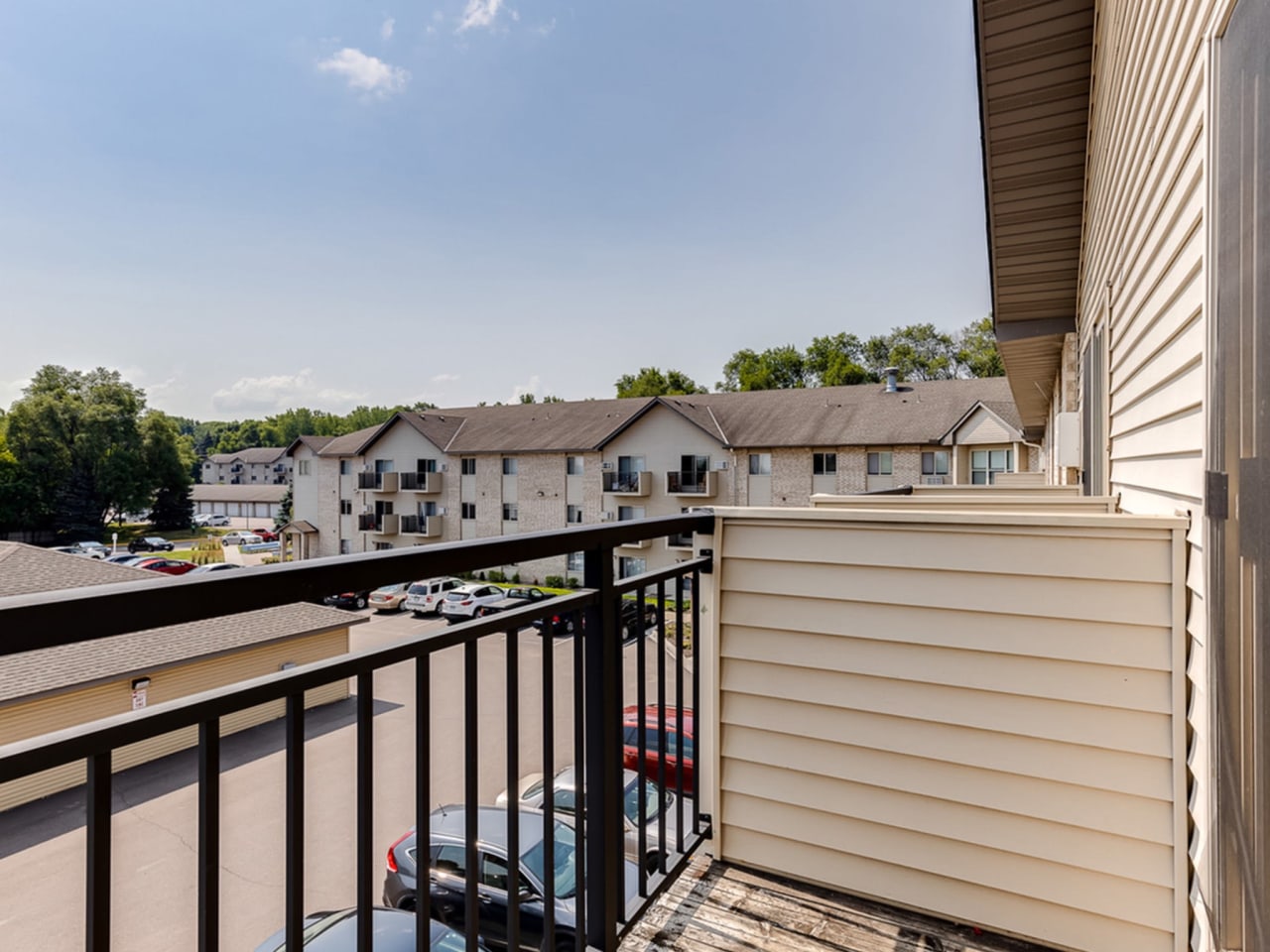 White Pines Image 18