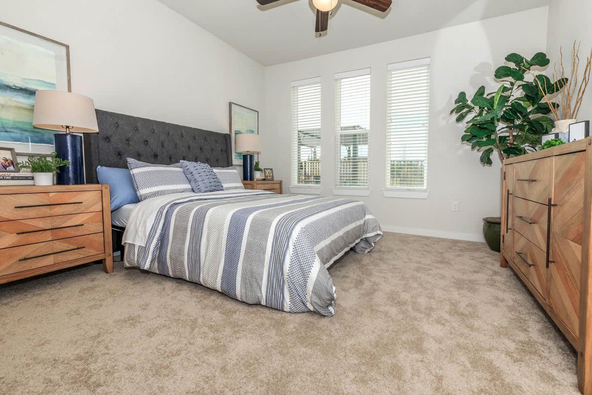 Luxia Rockwall Downes Image 15