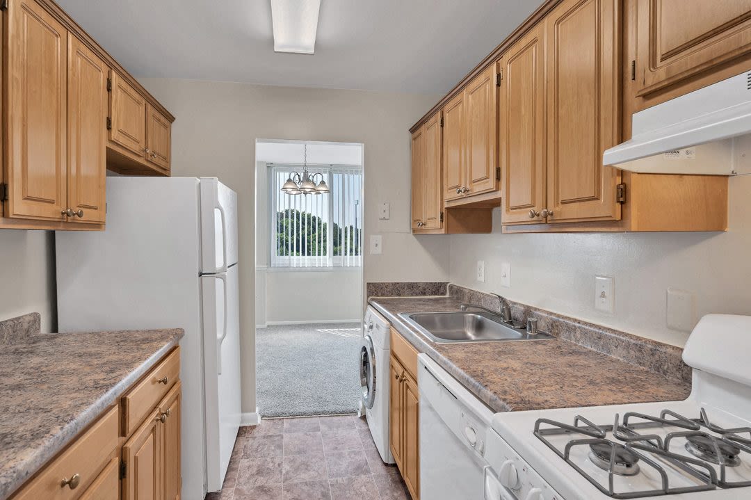 The Phoenix Apartments Image 16