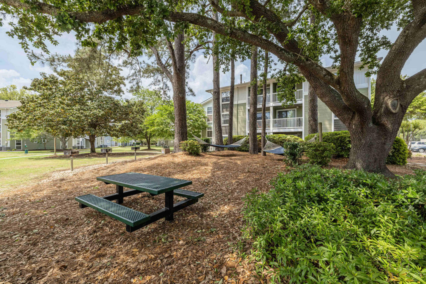 Village Green Image 47