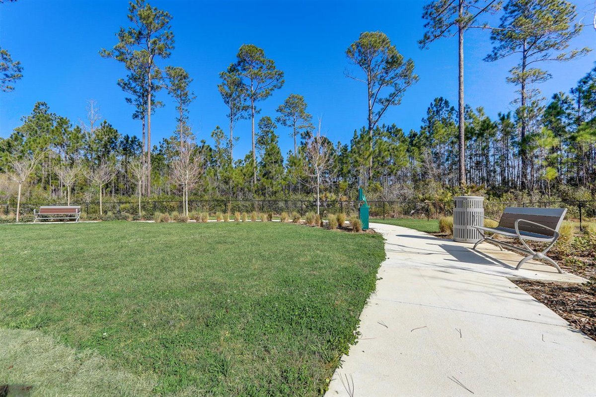 Treeline Trails Image 54