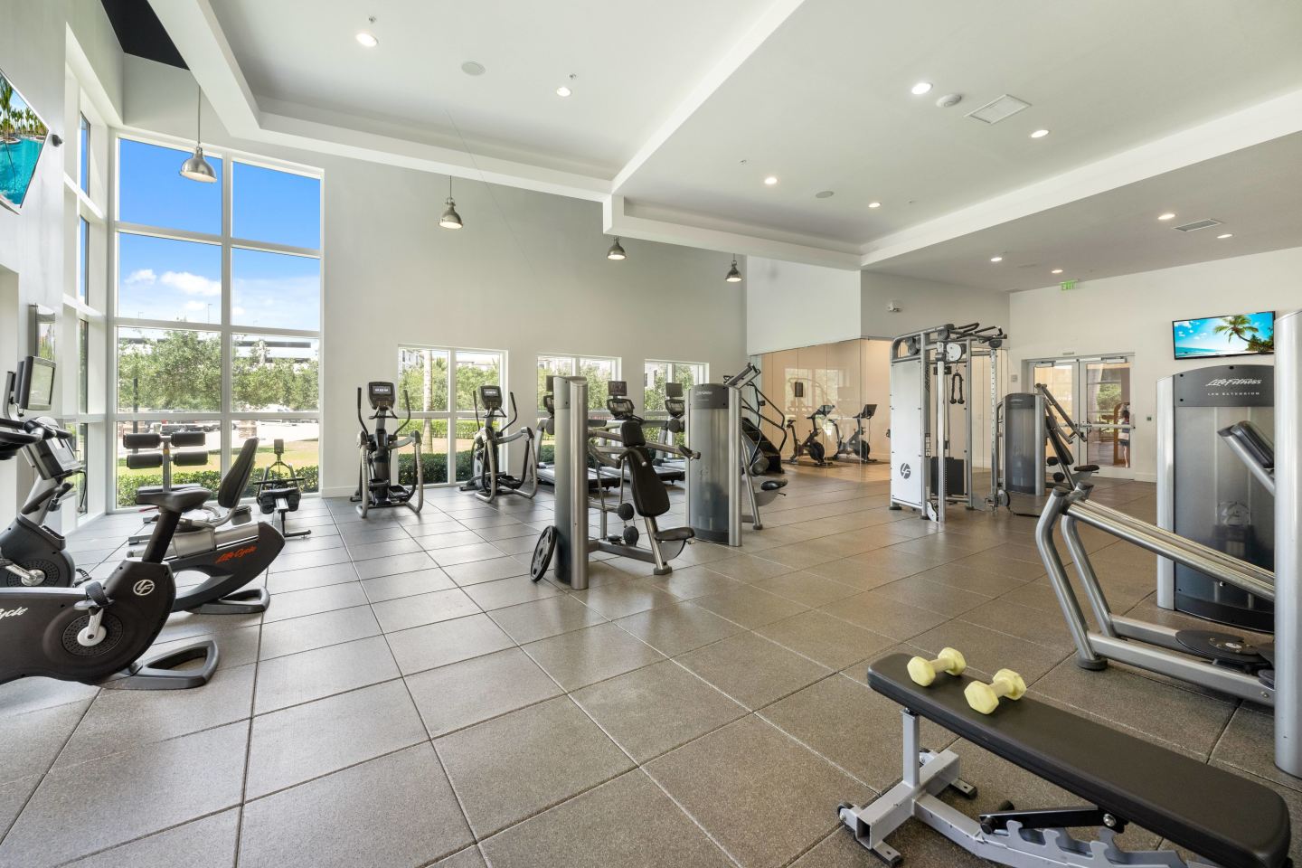 10X Sawgrass Image 13