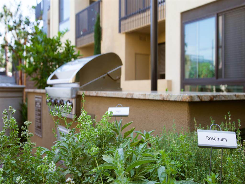 Terrena Apartment Homes Image 15