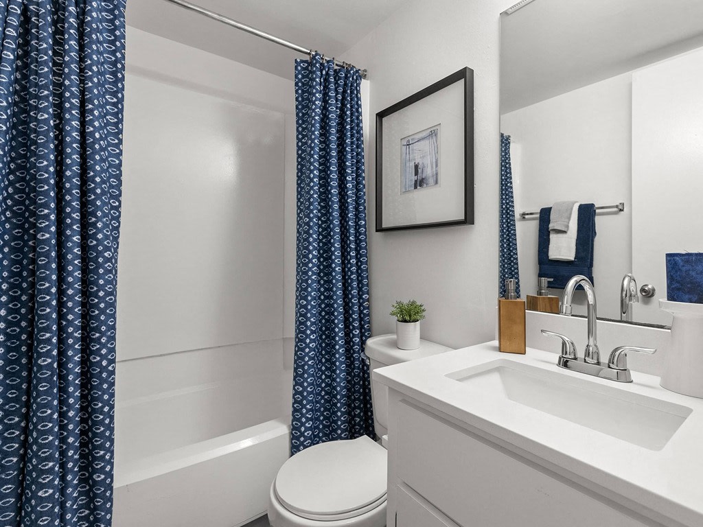 The Pointe at Clearwater Image 14