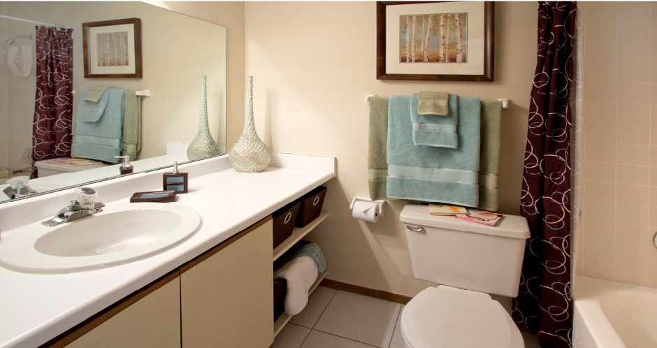 Lionshead Apartments Image 11