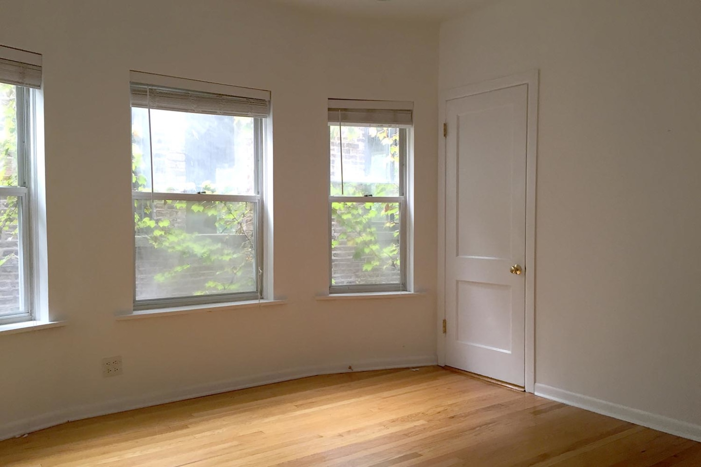 5532 S Kimbark Ave Image 8