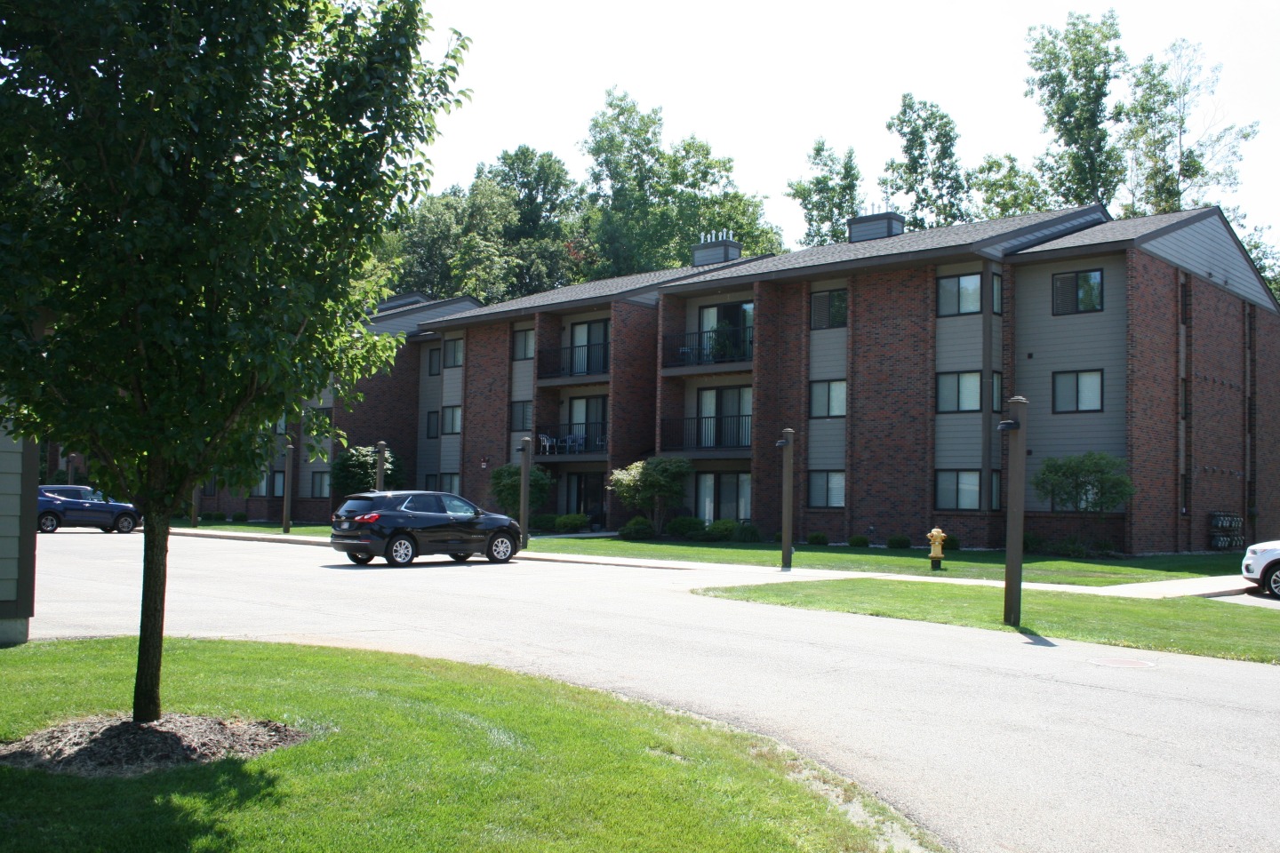 Deer View Image 89