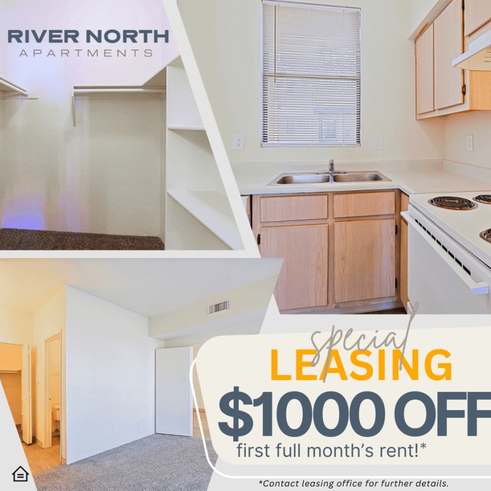 River North Apartments Image 1