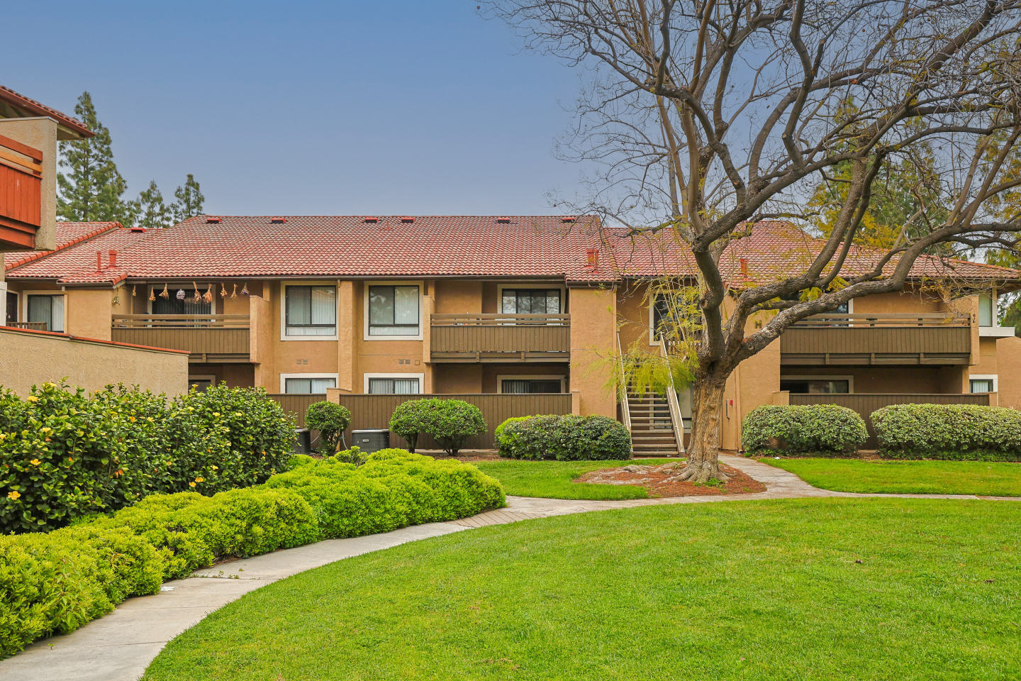 Citrus Place Image 14
