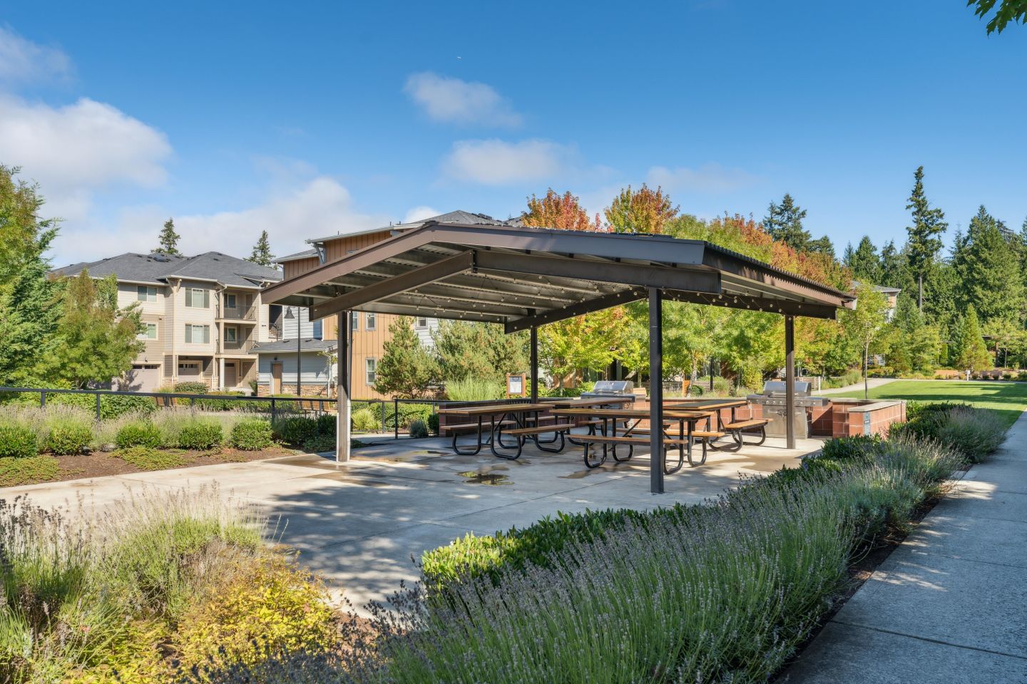 Vue Issaquah Image 61