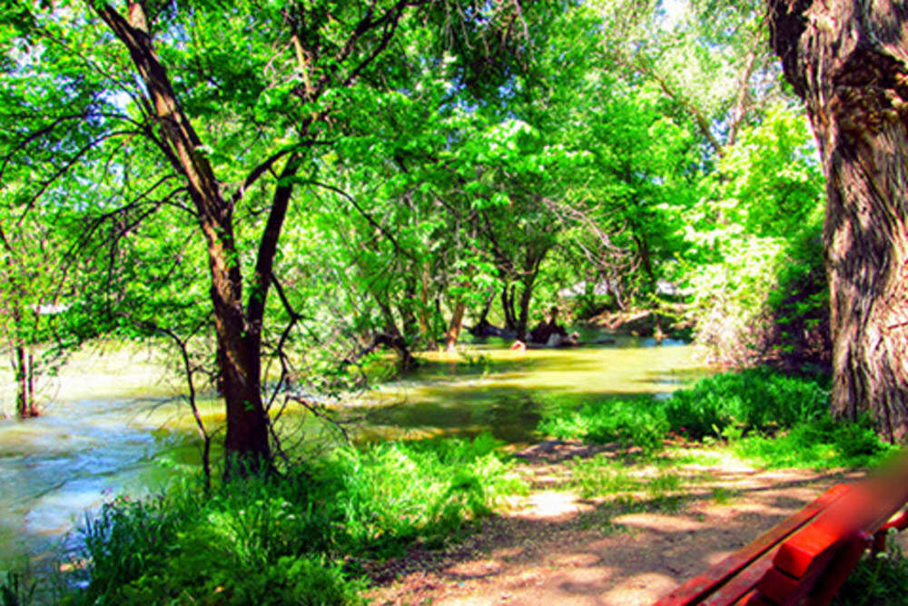 Country Woods Image 1