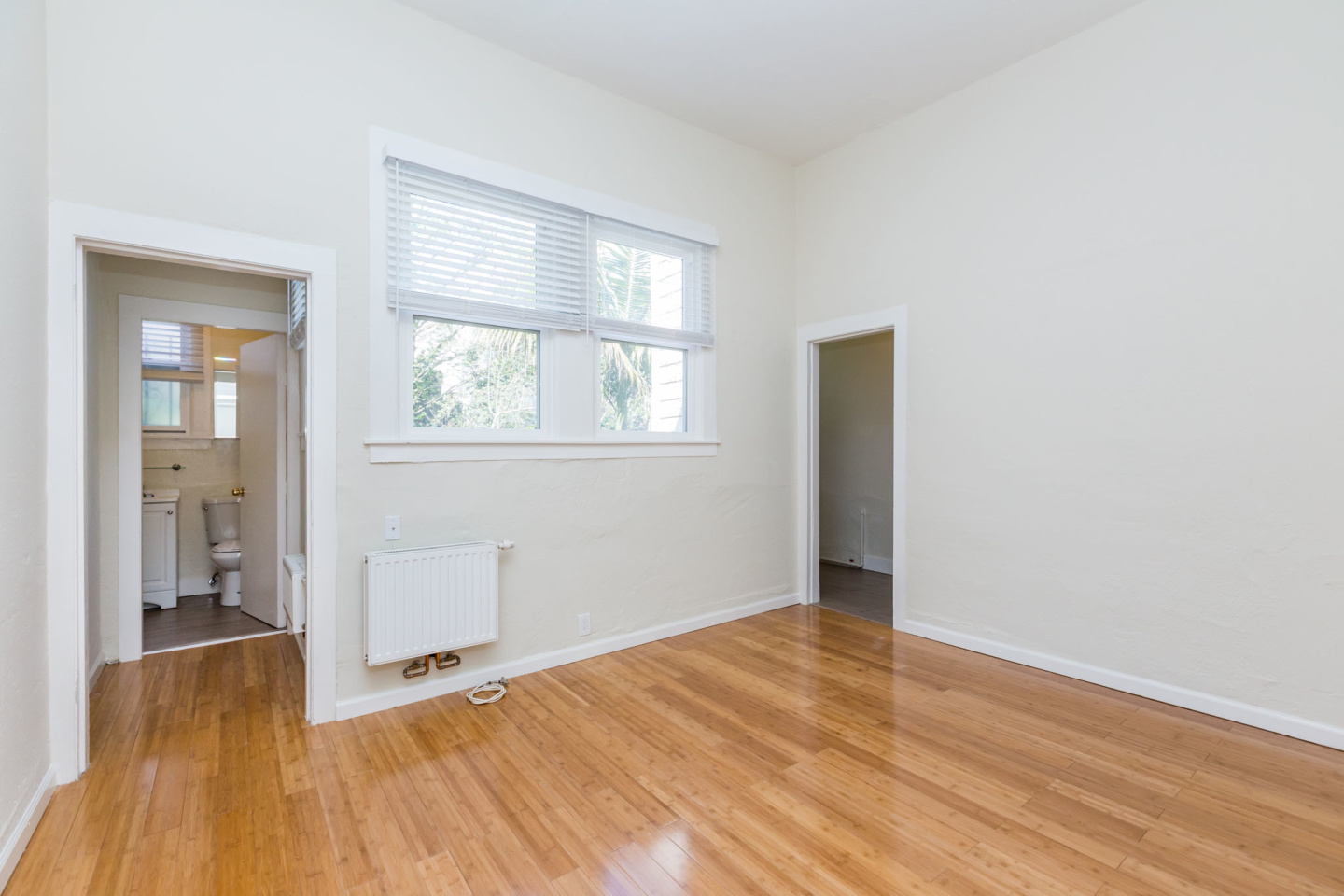1025 Steiner Image 6