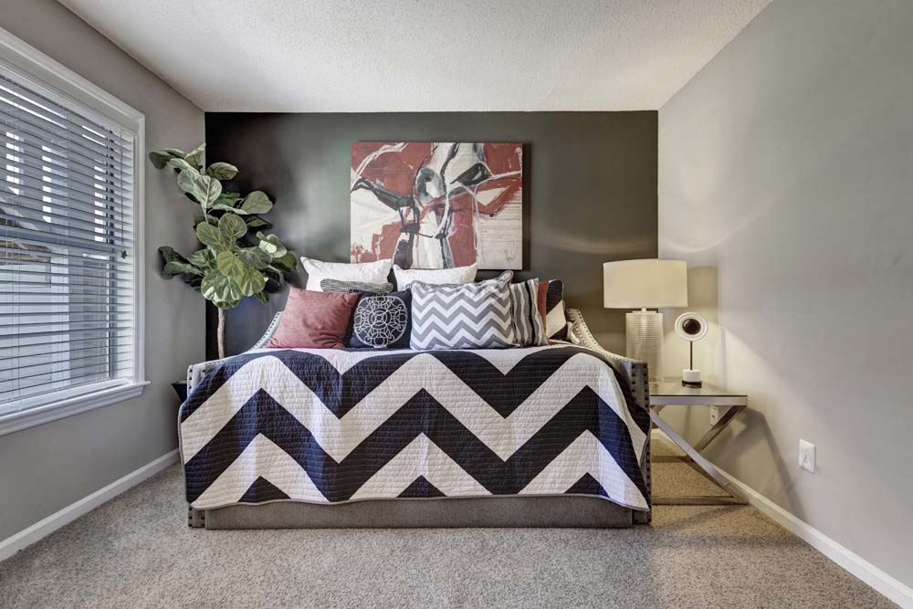 Harlowe Apartments Image 8