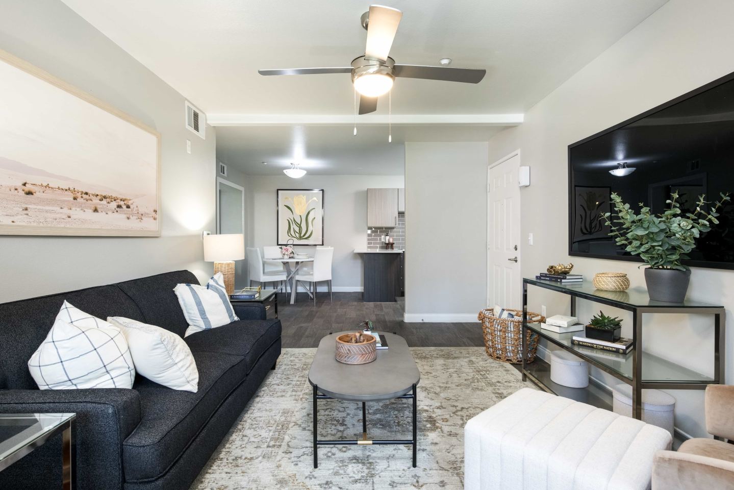 Amara Spring Valley Apartments Image 5