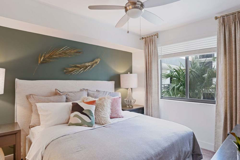 Palmera Image 6