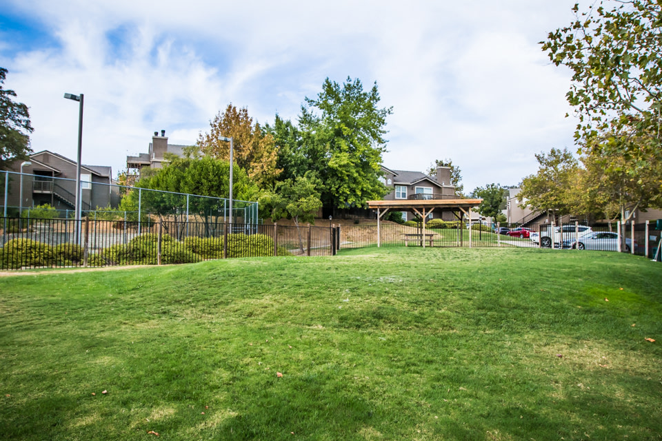 Lake Forest Image 49