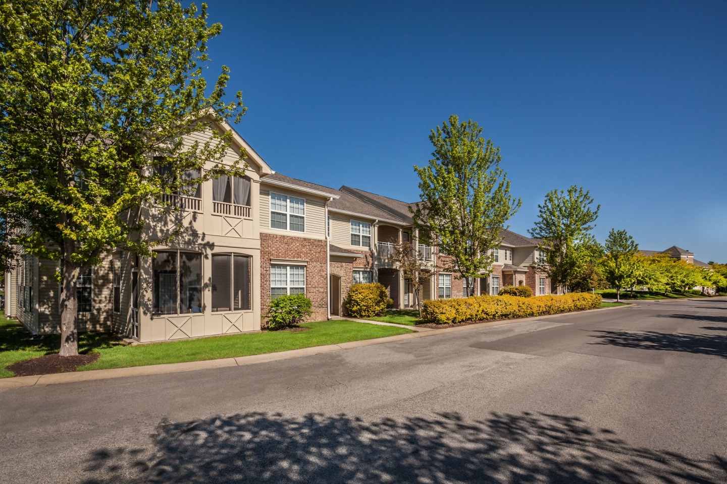 Linden Square Image 88