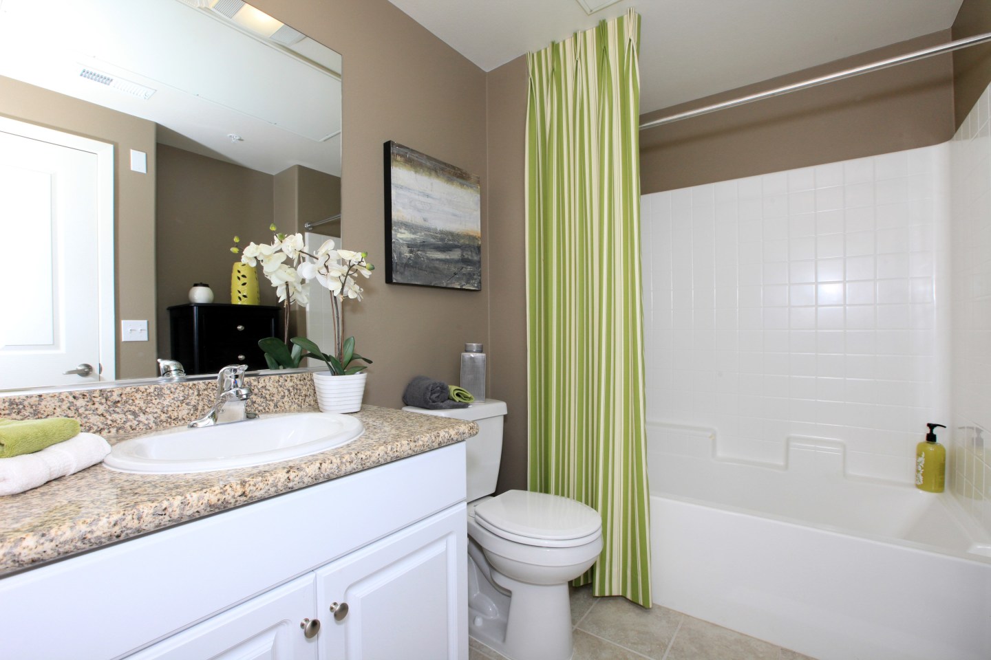 Paseos At Magnolia Luxury Apartment Homes Image 12