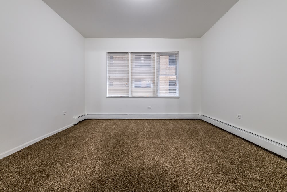 5556 W Jackson Image 7