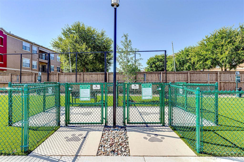 Quadrangles on Twenty Image 1