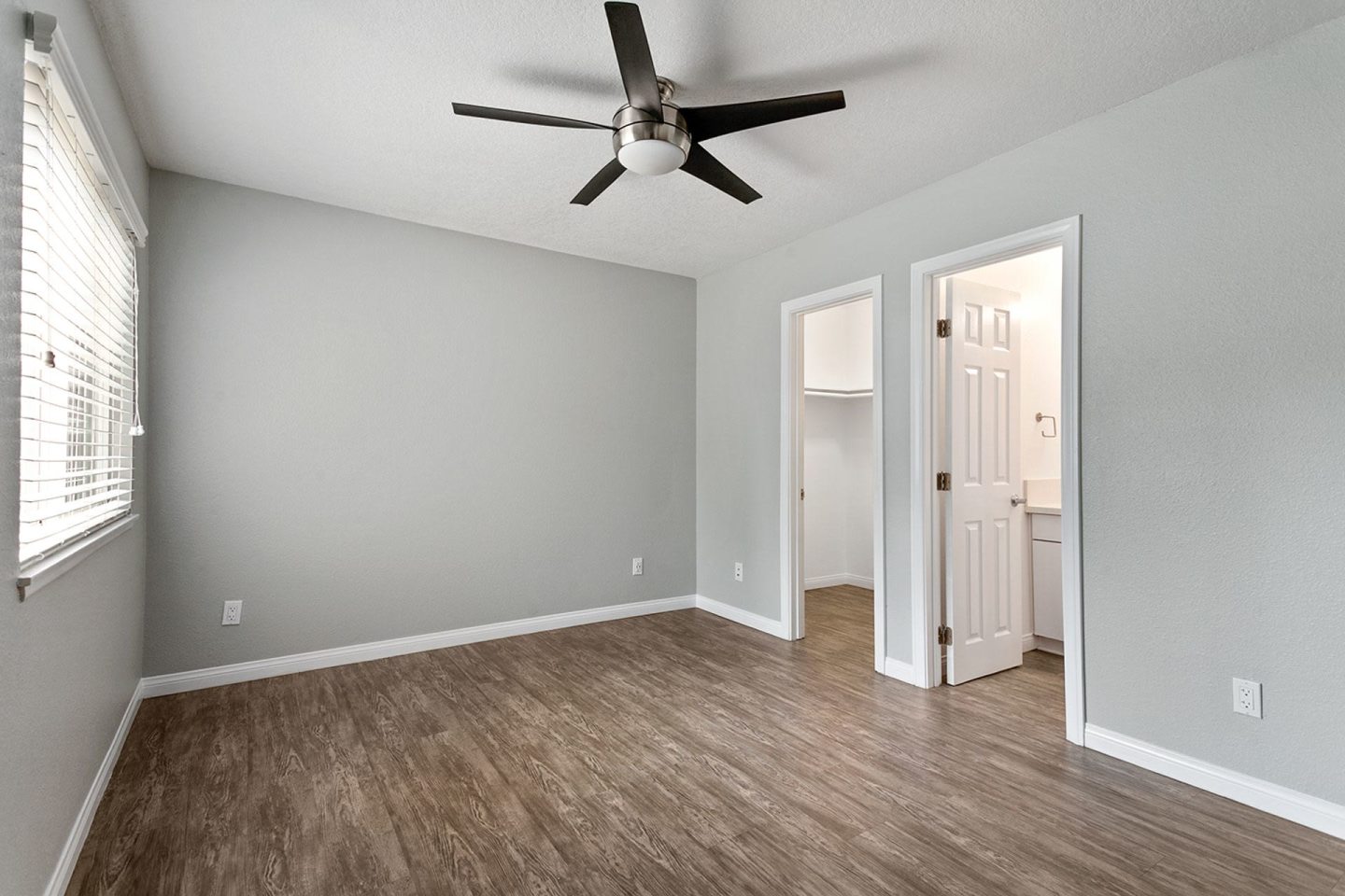 Solara Image 28